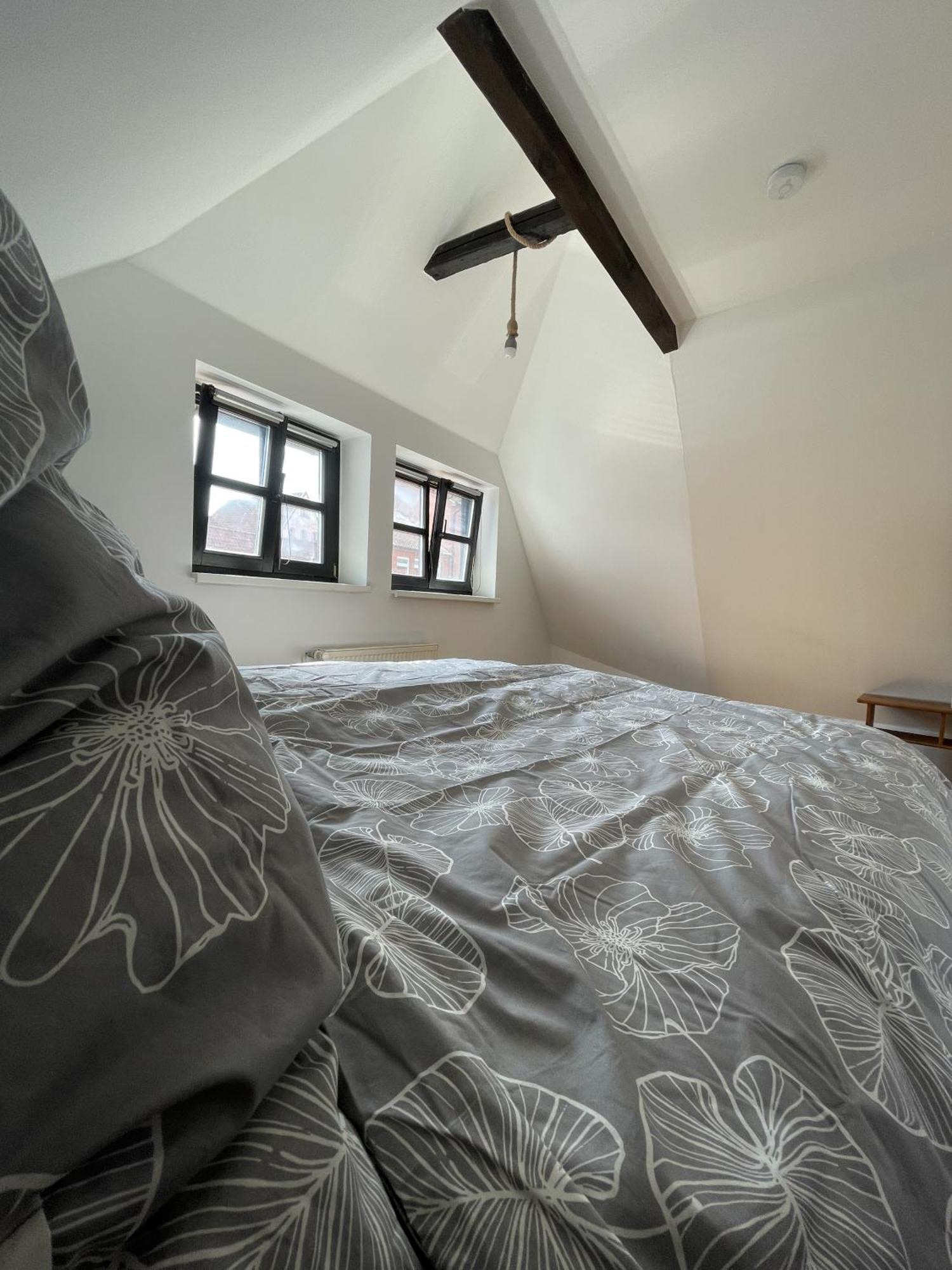 Backsteinflair - Luenemitte Apartment Lüneburg Екстериор снимка